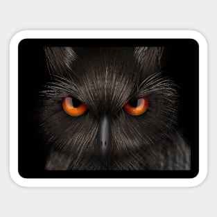 Mesmerizing owl eyes Sticker